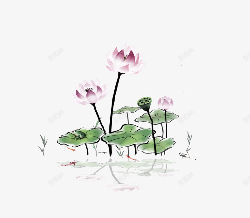 荷花png免抠素材_新图网 https://ixintu.com 倒影 手绘荷花 荷花 荷花叶 荷花素材