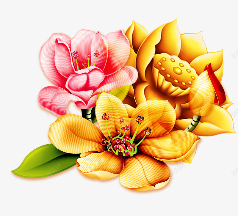 荷花中国风png免抠素材_新图网 https://ixintu.com 中国风 叶子 花 荷花 黄金