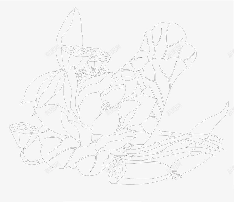 荷花儿线条png免抠素材_新图网 https://ixintu.com 简笔画荷花 简笔莲花 荷花图案简笔画 荷花简笔 荷花线条 莲花 莲花简笔
