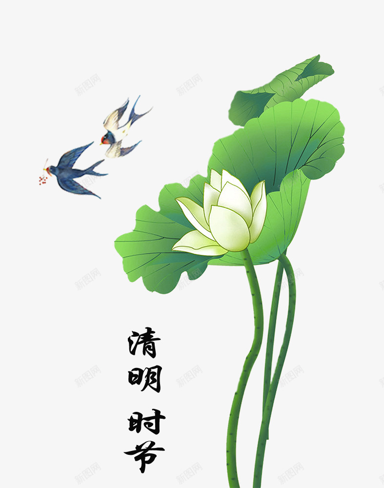 清明节荷花与燕子主题装饰psd免抠素材_新图网 https://ixintu.com 中国风 传统节日 复古 手绘 水墨画 清明节 祭拜免抠下载