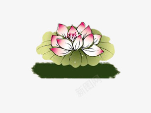 荷花荷叶专辑psd免抠素材_新图网 https://ixintu.com 姘村 娓呮柊 瑁呴鍝 鑽峰彾 鑽疯姳