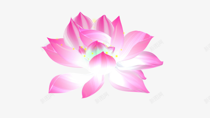 粉色的荷花psd免抠素材_新图网 https://ixintu.com png图形 png装饰 梦幻 粉色 荷花 装饰