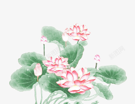 中国风荷花png免抠素材_新图网 https://ixintu.com 中国风 荷叶 荷花