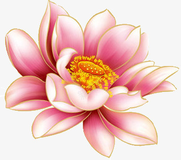 水粉荷花png免抠素材_新图网 https://ixintu.com 中国风 水粉色 荷花