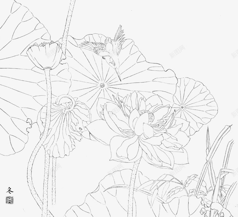 国画荷花线稿png免抠素材_新图网 https://ixintu.com 国画荷花线稿 手绘睡莲 睡莲 线稿睡莲 线稿荷花 荷花 莲花 莲花画稿图片素材