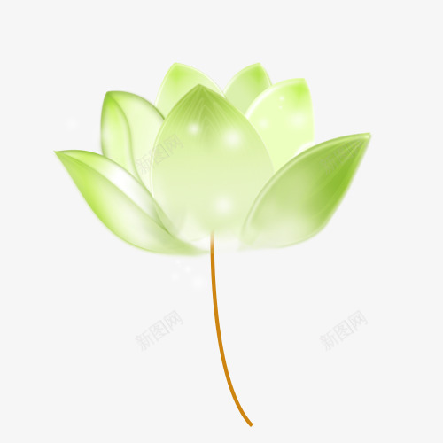 绿色的花png免抠素材_新图网 https://ixintu.com 光 彩绘 水彩 淡绿色 荷花