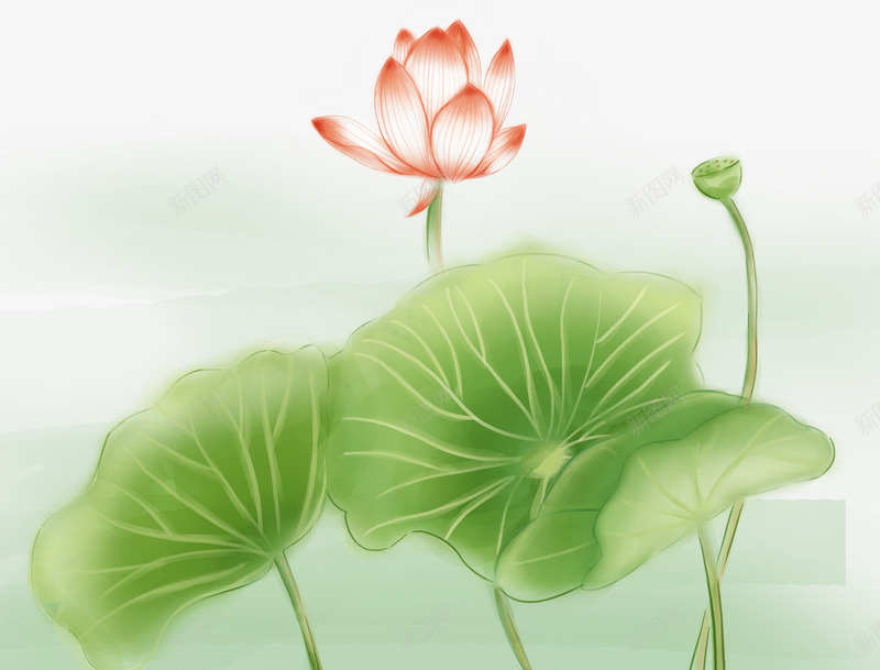 手绘装饰荷叶插画psd免抠素材_新图网 https://ixintu.com 彩绘 手绘 荷叶 荷塘 荷花 莲花 装饰图案