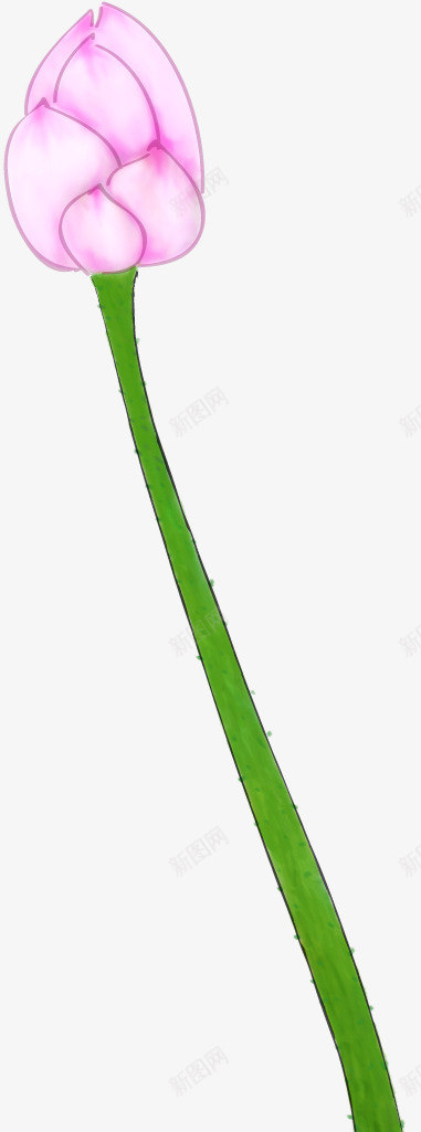 手绘粉色荷花花苞缤纷png免抠素材_新图网 https://ixintu.com 粉色 缤纷 花苞 荷花