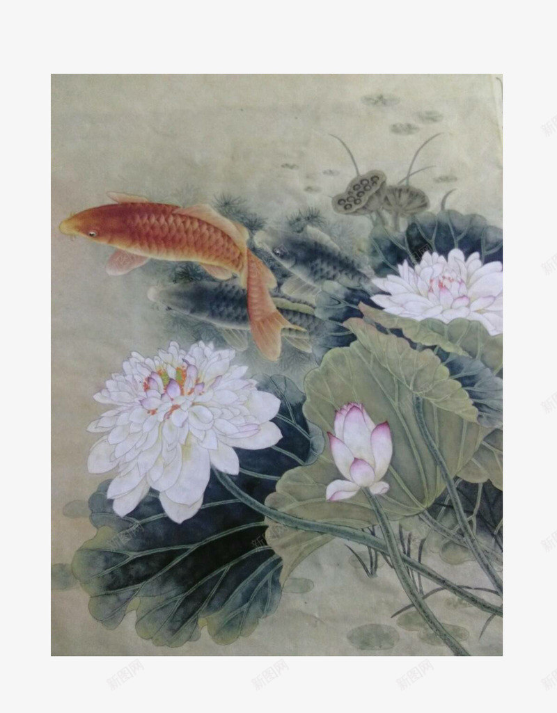 国画鱼莲花png免抠素材_新图网 https://ixintu.com 国画 荷花 莲花 蓝莲花 鱼