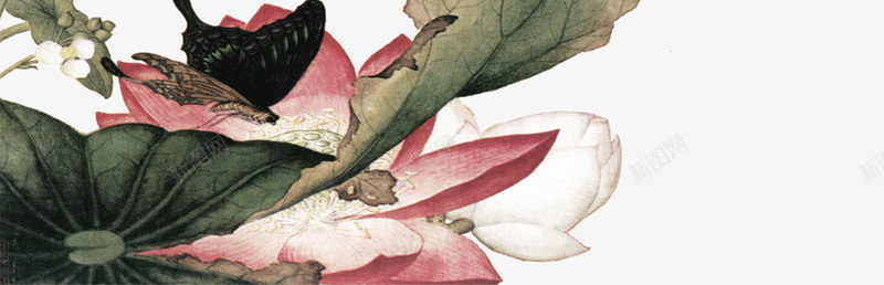 国画荷花png免抠素材_新图网 https://ixintu.com 国画 彩色 手绘 花卉