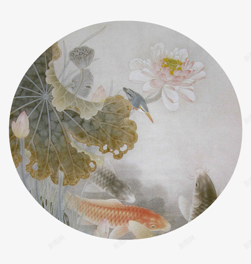 荷花金鱼png免抠素材_新图网 https://ixintu.com 工笔画 工笔荷花 白色 花 莲花