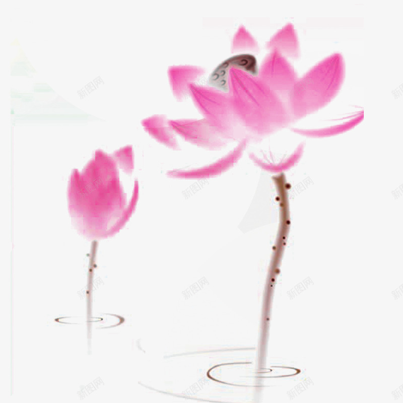 荷花png免抠素材_新图网 https://ixintu.com 中国风 半开荷花 国画 花卉 荷花 荷花背景 荷花苞