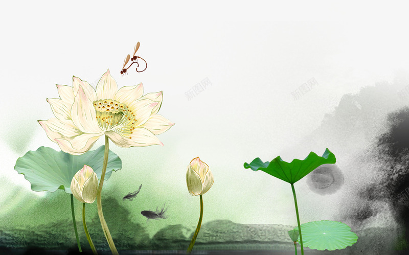 古典元素荷花psd免抠素材_新图网 https://ixintu.com 姘村 涓 鍙吀