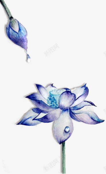 水墨荷花png免抠素材_新图网 https://ixintu.com 中国风 传统元素 半开荷花 古典 水墨荷花 水滴 荷花苞