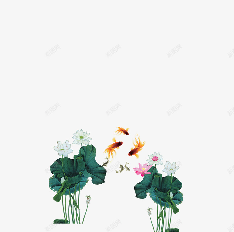 金鲤荷花png免抠素材_新图网 https://ixintu.com 金鲤鱼荷花中国风