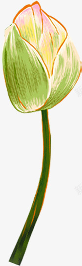 水墨画荷花花苞夏天png免抠素材_新图网 https://ixintu.com 夏天 水墨画 花苞 荷花
