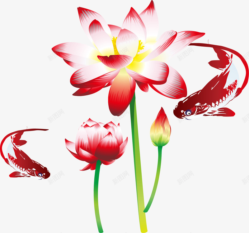 精美荷花鱼矢量图ai免抠素材_新图网 https://ixintu.com 精美 荷花 鱼 矢量图