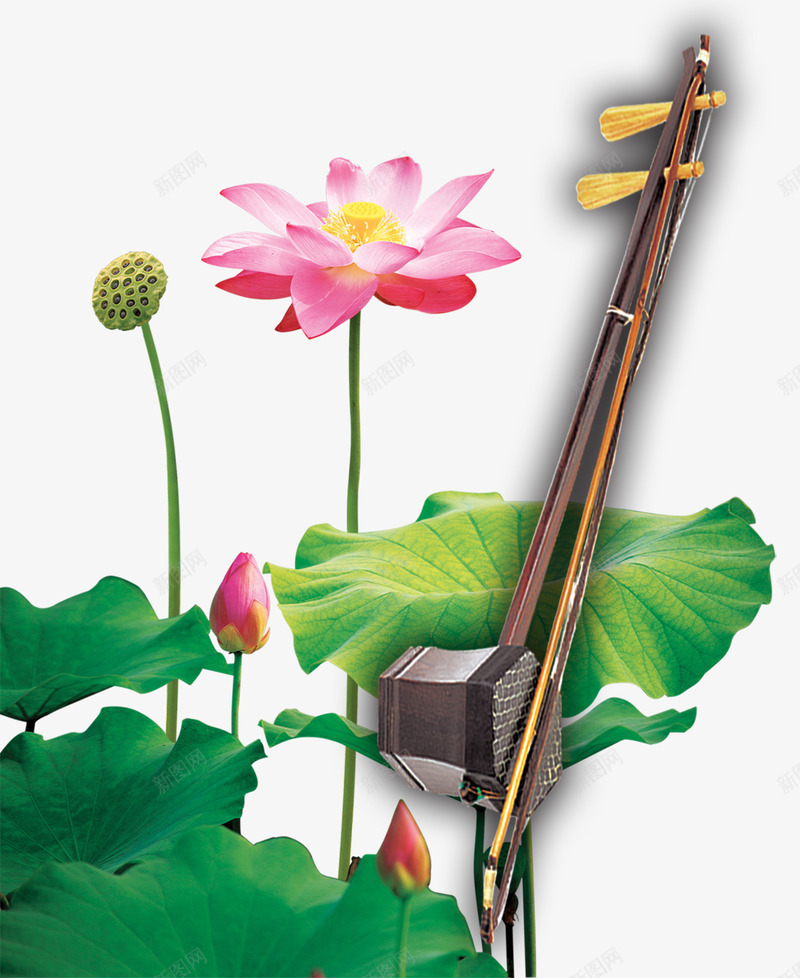 二胡荷花psd免抠素材_新图网 https://ixintu.com 中国风 中国风二胡 乐器 二泉印月 二胡 二胡海报 古风 盛开的荷花 荷花 荷花叶 莲子