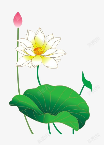 荷花点缀装饰psd免抠素材_新图网 https://ixintu.com 点缀 荷花 装饰