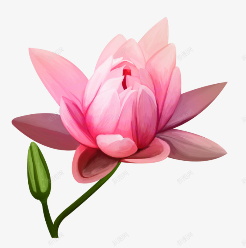 粉色荷花png免抠素材_新图网 https://ixintu.com 卡通 手绘 粉色 荷花 莲花