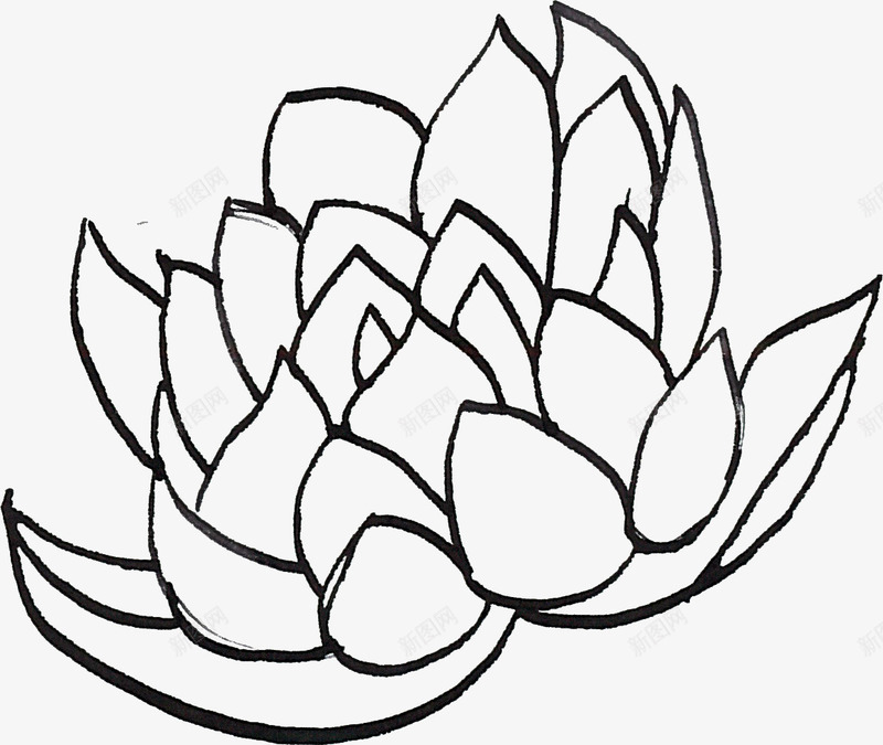 线描荷花png免抠素材_新图网 https://ixintu.com 线描植物 线条 花卉 黑色