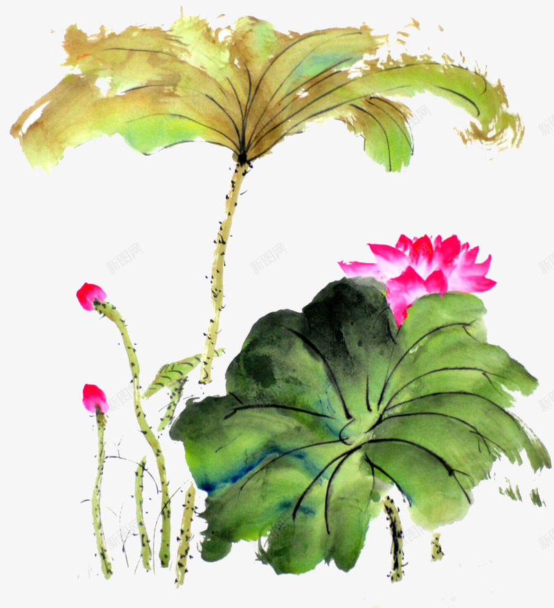 写意水墨画png免抠素材_新图网 https://ixintu.com 中国风 国画 夏荷 水墨画 荷花