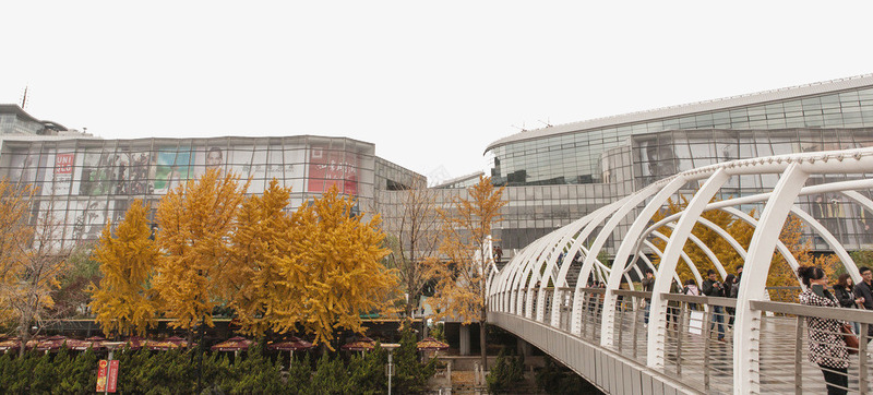 泉城广场摄影png免抠素材_新图网 https://ixintu.com 国内旅游 天空 旅游摄影 泉城 泉城广场 济南 济南印象 银杏 阴云 高架桥