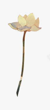 粉红色荷花手绘植物png免抠素材_新图网 https://ixintu.com 手绘 植物 粉红色 素材 荷花