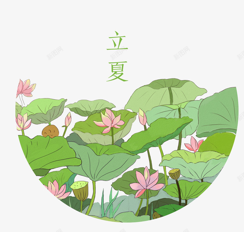 立夏节气装饰插图荷塘插画png免抠素材_新图网 https://ixintu.com 二十四节气 插画 立夏 荷叶 荷塘 荷花 装饰插图