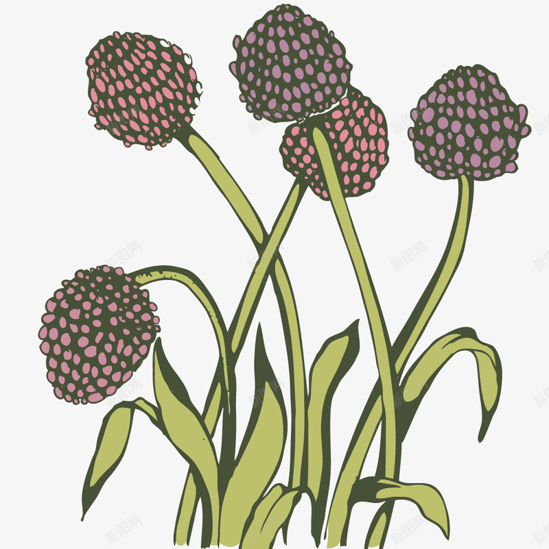 种子食物png免抠素材_新图网 https://ixintu.com 农作物 手绘 模型 粮食农作 草植物