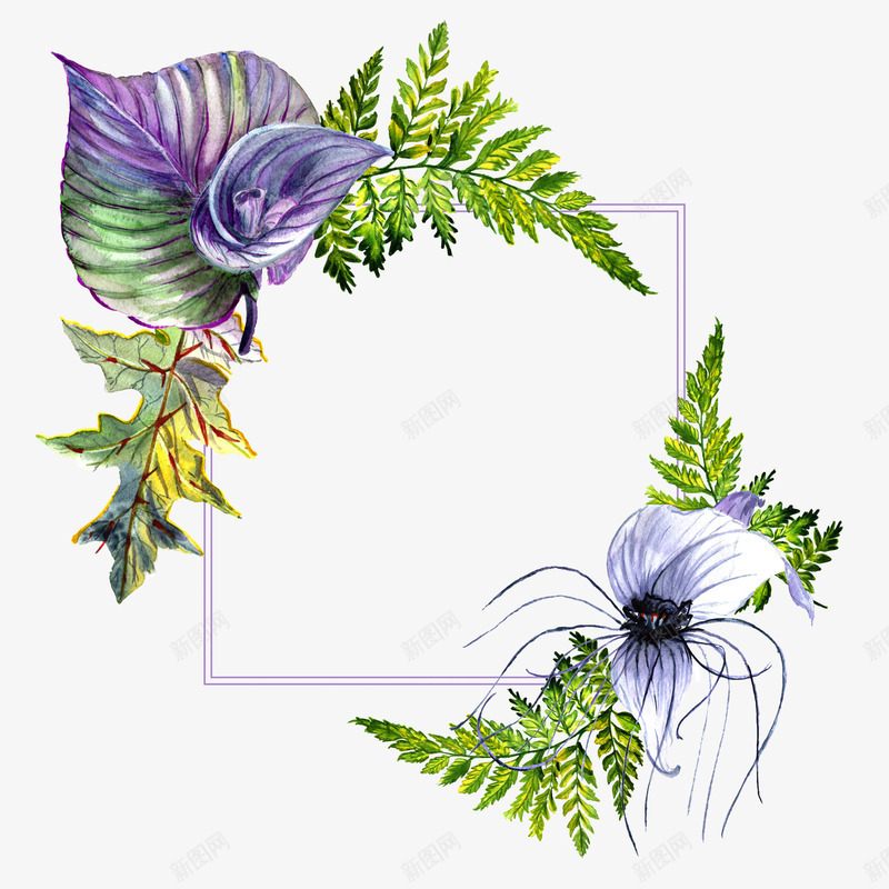 手绘花草花卉装饰花框png免抠素材_新图网 https://ixintu.com 小清新花草装饰 文艺花草PPT制作 植物插画 海报设计 花框 花草包装礼盒 花草插画 花草装饰