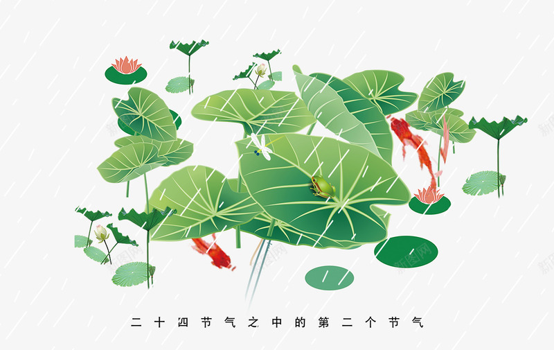 春季池塘里的荷叶装饰psd免抠素材_新图网 https://ixintu.com 春季 池塘里的 荷花荷叶满池塘 红鱼 荷叶装饰 荷花 雨水