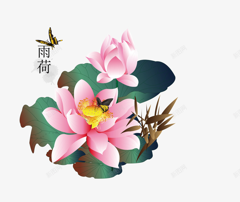 中国风立体雨后荷花png免抠素材_新图网 https://ixintu.com 中国风 立体 蝴蝶 雨后荷花