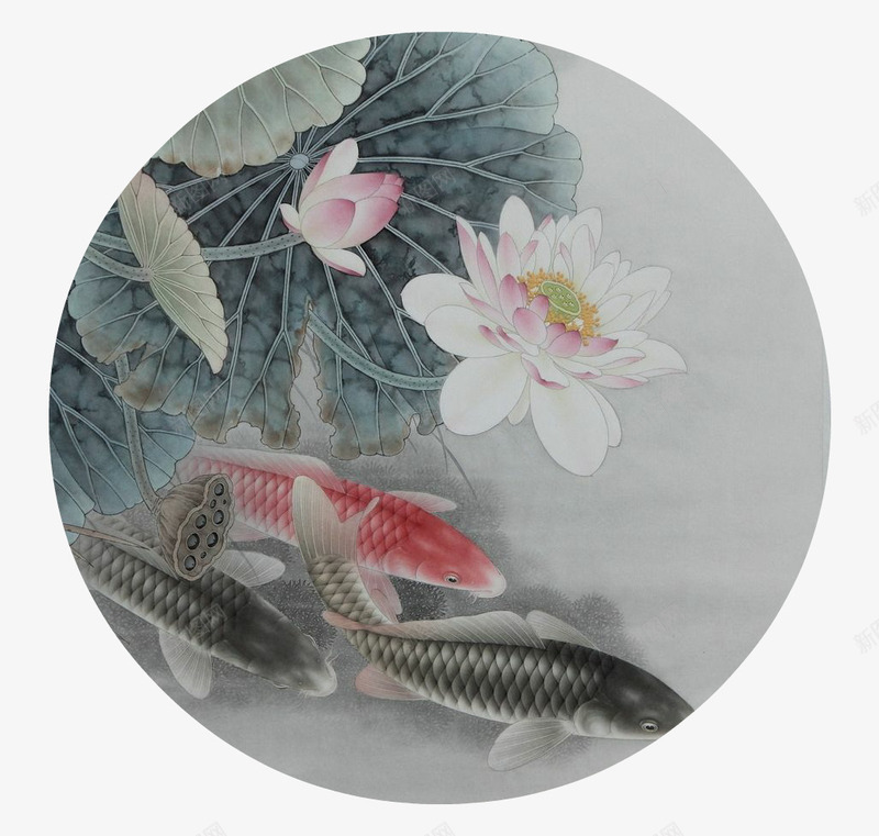 鱼池荷花png免抠素材_新图网 https://ixintu.com 工笔荷花 粉色 莲花 鱼
