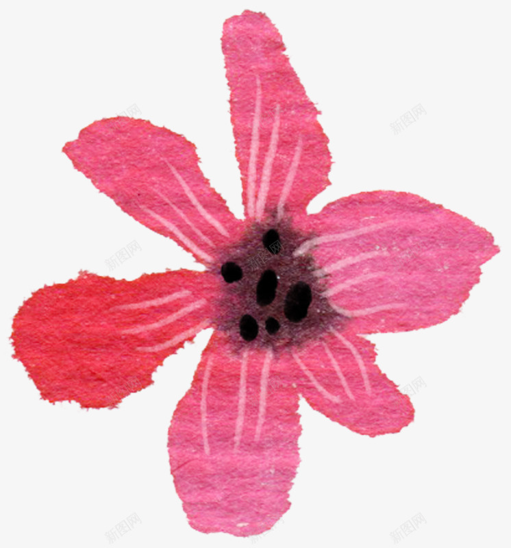 手绘文艺粉色渐变落叶png免抠素材_新图网 https://ixintu.com 文艺 渐变 粉色 落叶