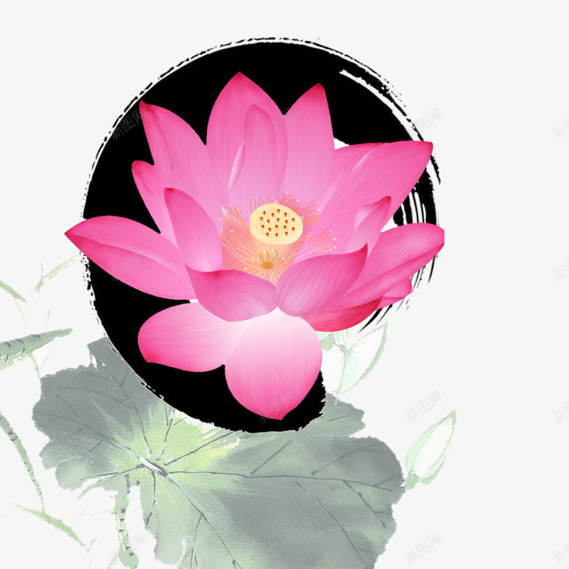中国风水墨荷花psd免抠素材_新图网 https://ixintu.com 中国风 水墨荷花 荷叶 荷花