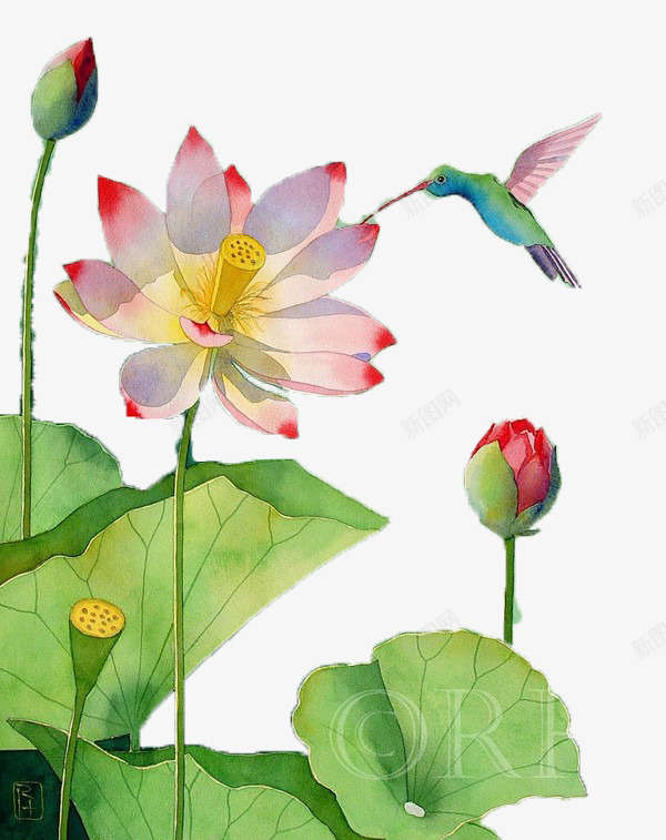 水墨画花png免抠素材_新图网 https://ixintu.com 手绘 水墨 荷花 装饰