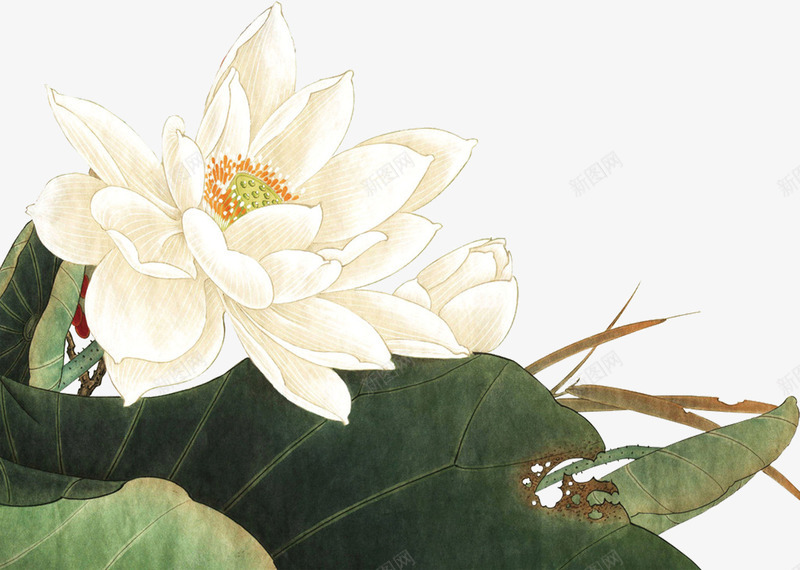 水墨画荷花免效果元素抠png免抠素材_新图网 https://ixintu.com 免抠 水墨画 荷叶 荷花 莲花