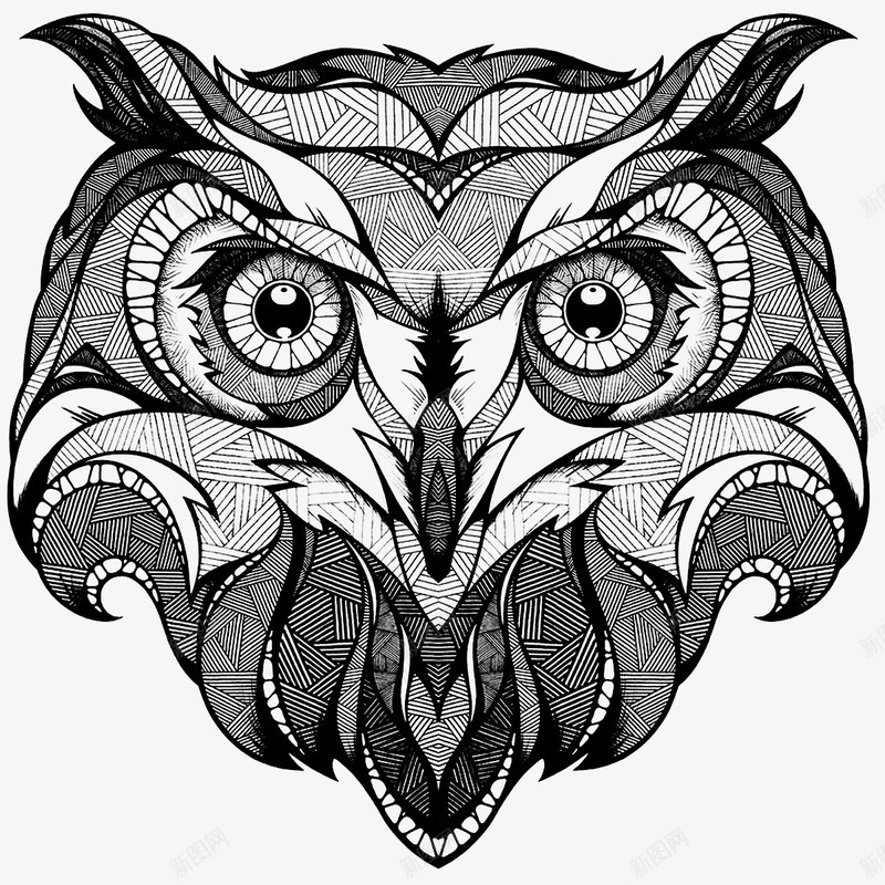 猫头鹰头png免抠素材_新图网 https://ixintu.com 插画 猫头鹰 简笔画 纹理 线条 鸟类 黑白