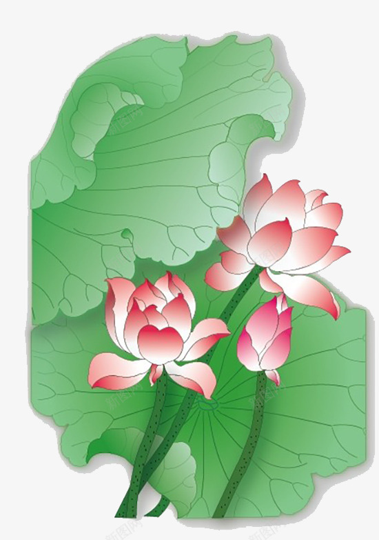 手绘荷花png免抠素材_新图网 https://ixintu.com 叶子 户多 植物 荷花