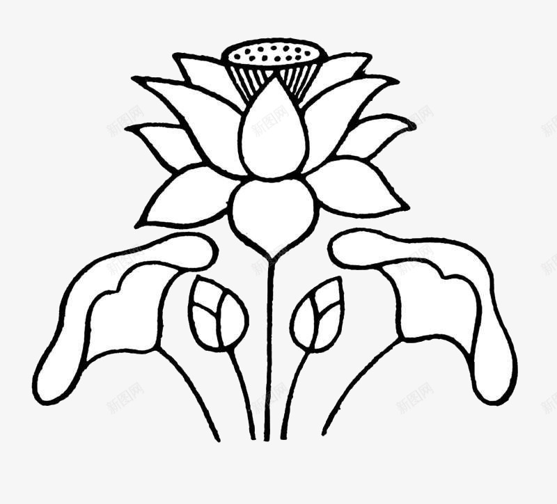 优雅自然图标png_新图网 https://ixintu.com 含苞素材 旱金莲 旱金莲花卉 线描 艺术 荷花 装饰 金莲花