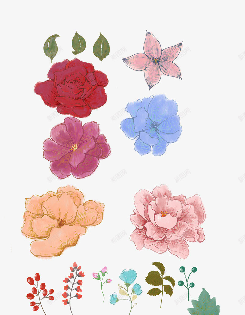创意合成手绘质感玫瑰花荷花png免抠素材_新图网 https://ixintu.com 创意 合成 玫瑰花 荷花 质感