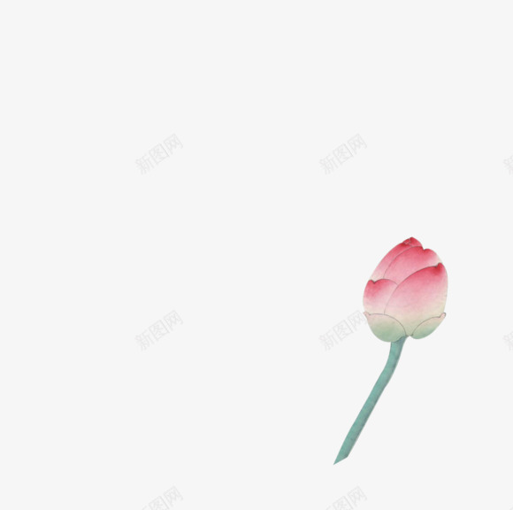 荷花花苞粉色可爱png免抠素材_新图网 https://ixintu.com 可爱 粉色 花苞 荷花