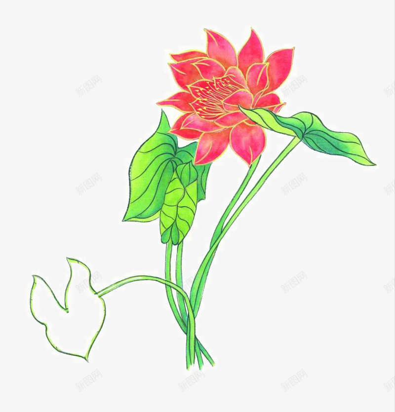 彩墨荷花png免抠素材_新图网 https://ixintu.com 中国画 国画小品 国粹 宣纸画 彩墨花草 手绘花卉 美术插图 艺术作品 装饰花草