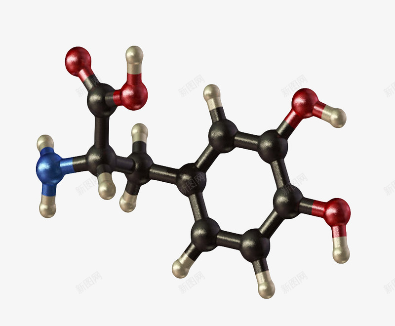 黑色左旋多巴分子形状png免抠素材_新图网 https://ixintu.com 六边形 分子形状 分子立体结构 化学性质最小粒子 原子 多边形 模型 物理化学术 空间 顺序