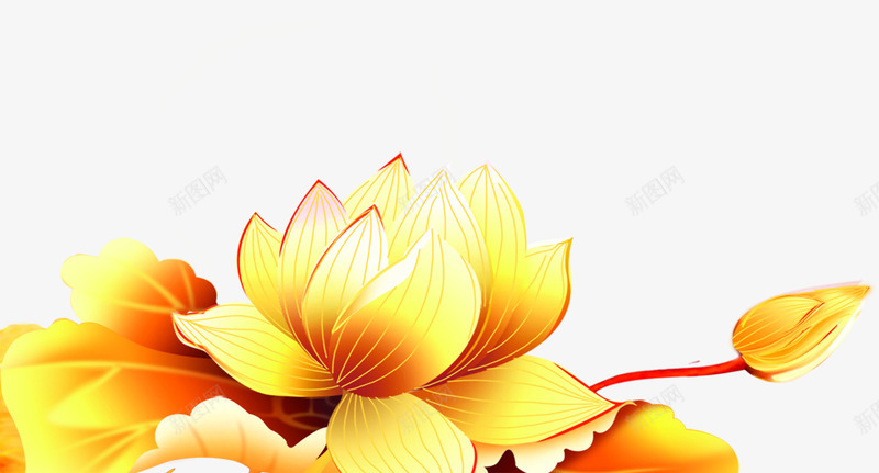 中秋节金黄色莲叶荷花png免抠素材_新图网 https://ixintu.com 中秋节 荷花 莲叶 金黄色