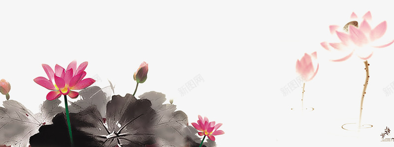 水墨荷花一幅画png免抠素材_新图网 https://ixintu.com 水墨 粉色 红色 荷花