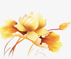 中秋节黄色莲叶荷花png免抠素材_新图网 https://ixintu.com 中秋节 荷花 莲叶 黄色