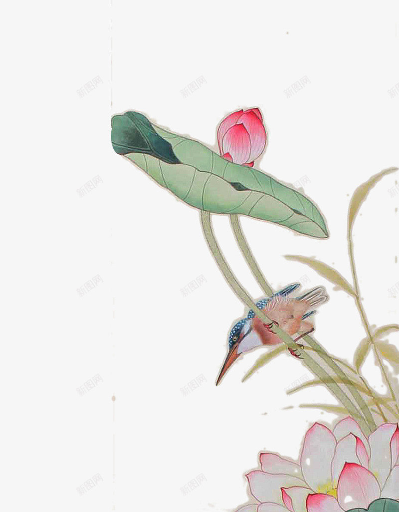 手绘的粉色荷花png免抠素材_新图网 https://ixintu.com 小鸟 手绘 绿叶 荷花
