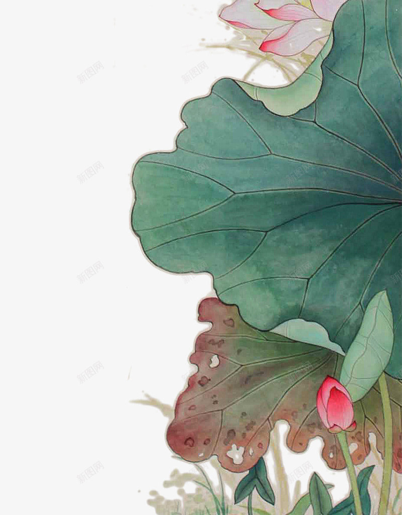 手绘的粉色荷花png免抠素材_新图网 https://ixintu.com 小鸟 手绘 绿叶 荷花